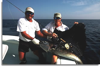 Fly-casting to sailfish